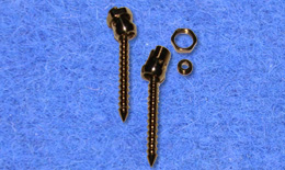 Poly Axial Pedicle Screw