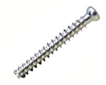 Bone Screws