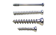 Surgical Bone Screws